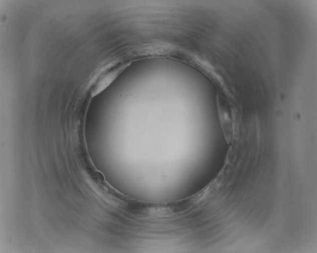 X0000073920154200609011818