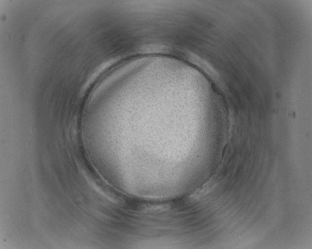 X0000073920155200609011818