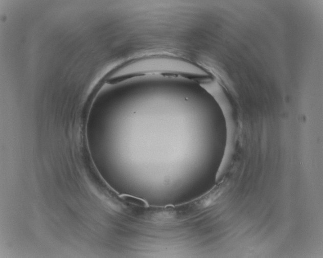 X0000073920156200609011818