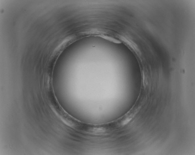 X0000073920157200609011818