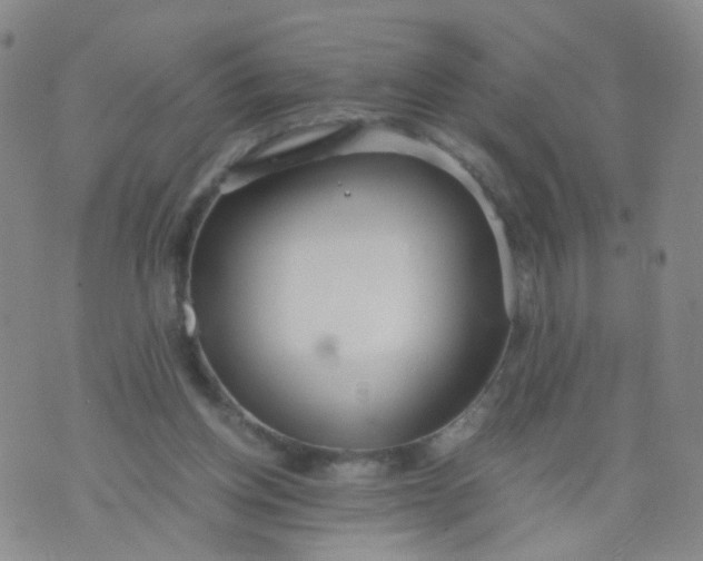 X0000073920158200609011818