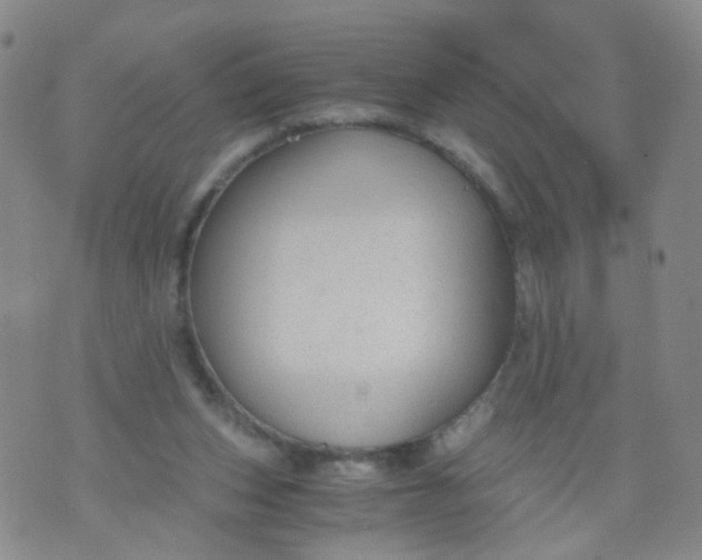 X0000073920159200609011818