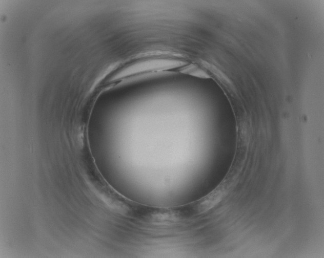 X0000073920160200609011818