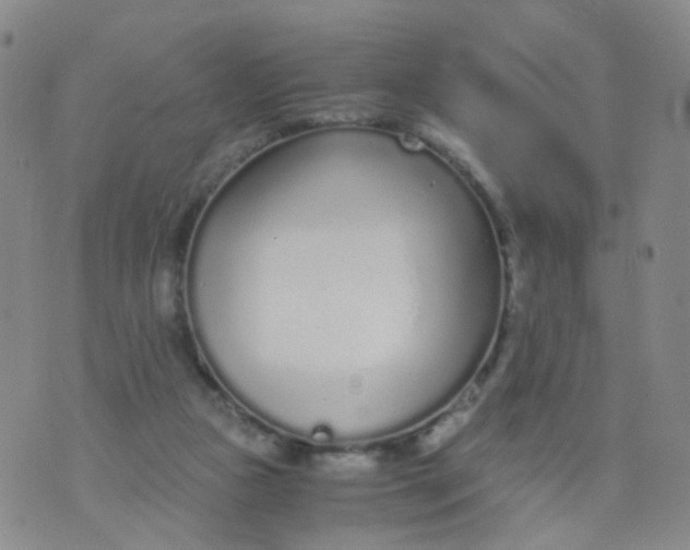 X0000073920161200609011818