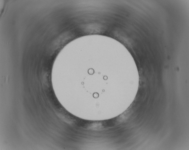 X0000073920162200609011818