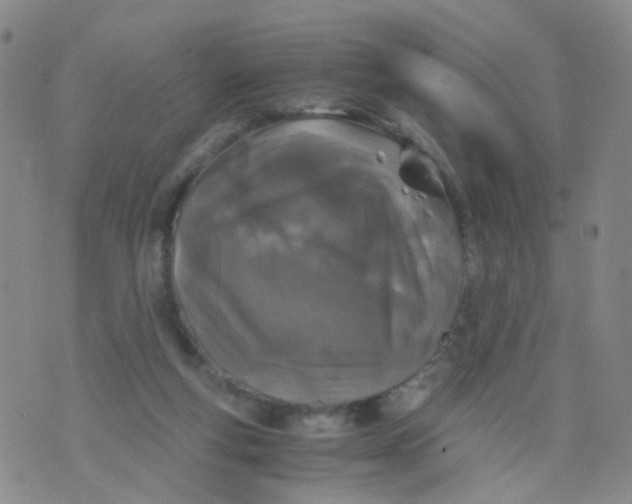 X0000073920163200609011818