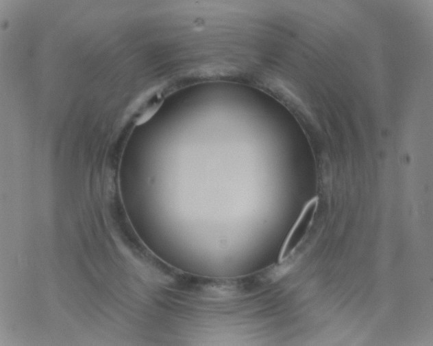 X0000073920164200609011818