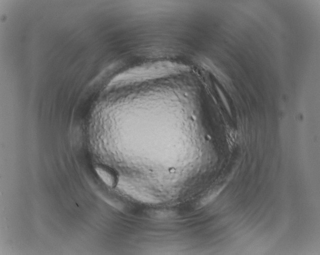 X0000073920165200609011818