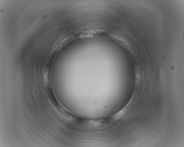 X0000073920166200609011818