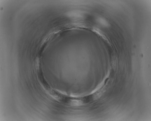 X0000073920167200609011818