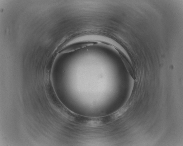 X0000073920168200609011818