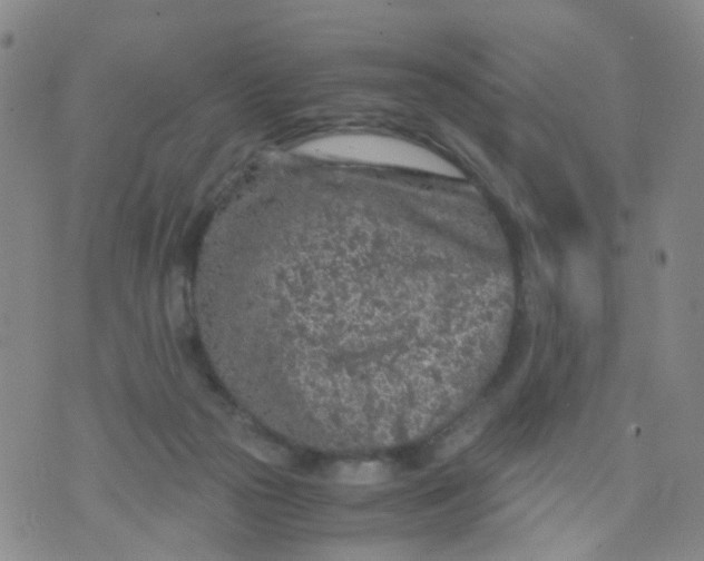 X0000073920169200609011818