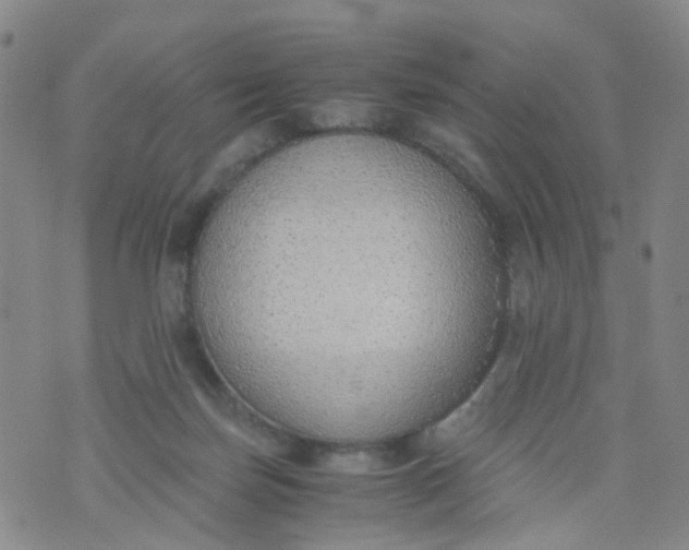 X0000073920171200609011818