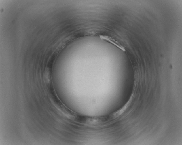 X0000073920174200609011818