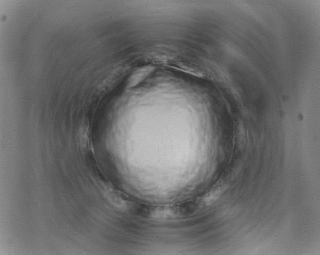 X0000073920177200609011818