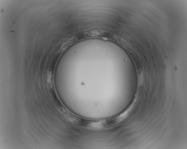 X0000073920178200609011818