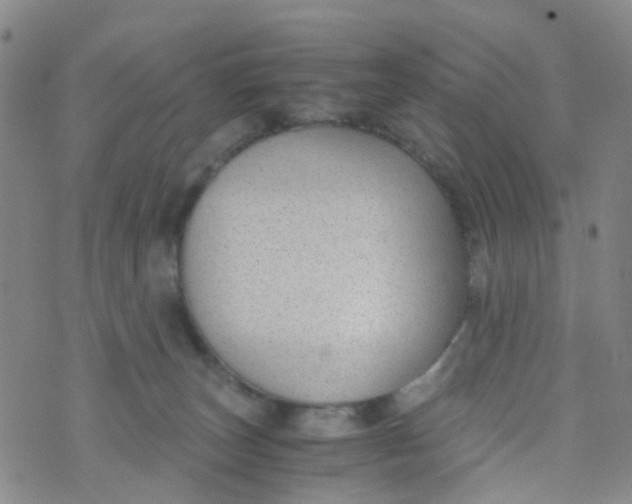 X0000073920179200609011818