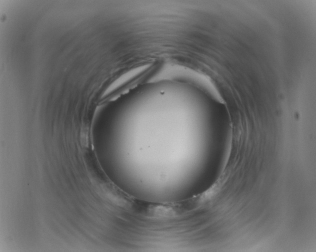 X0000073920180200609011818