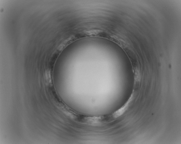 X0000073920182200609011818