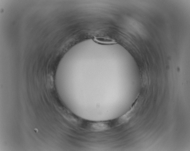 X0000073920183200609011818