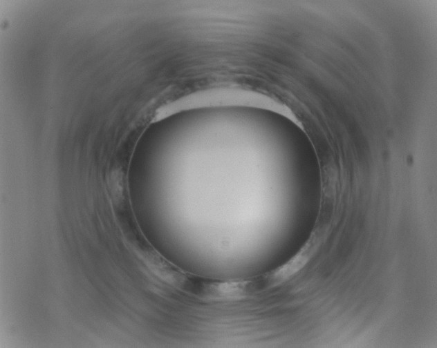 X0000073920184200609011818