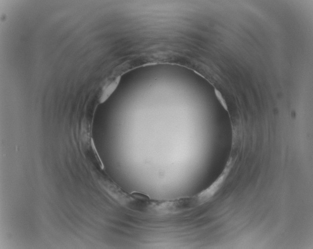 X0000073920186200609011818