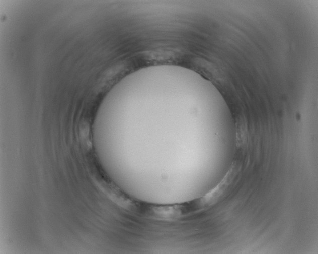 X0000073920187200609011818