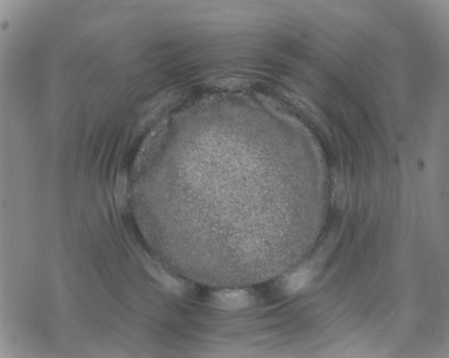 X0000073920189200609011818