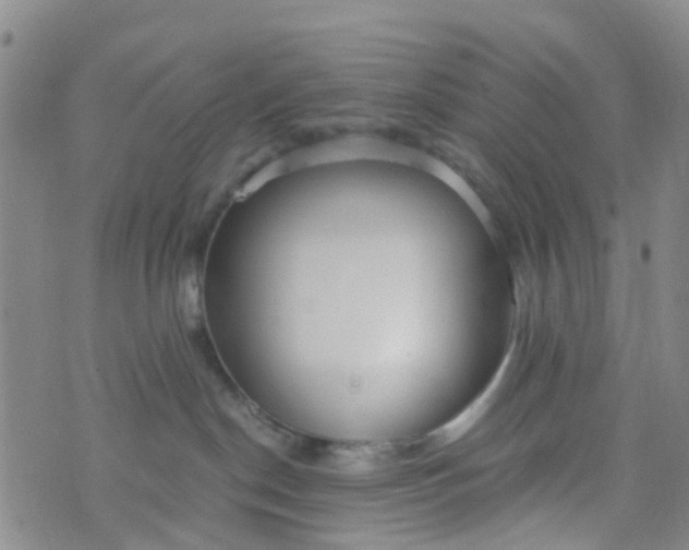 X0000073920190200609011818