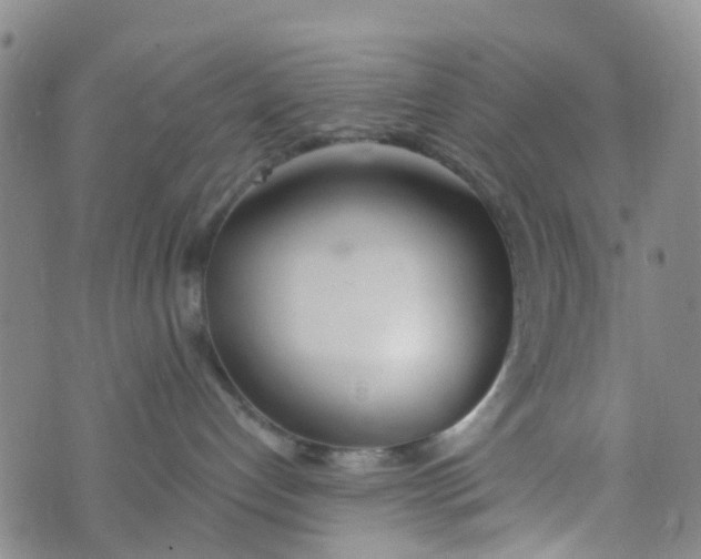 X0000073920192200609011818