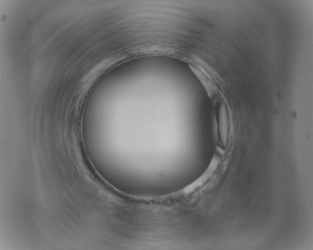 X0000073920193200609011818