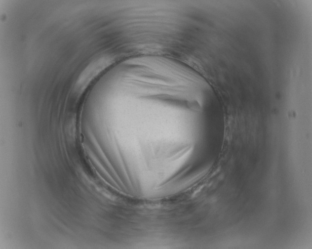 X0000073920194200609011818