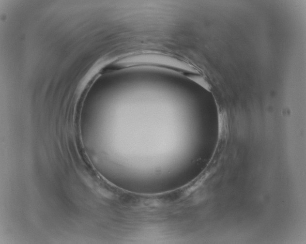 X0000073920195200609011818