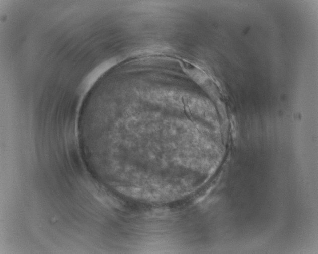 X0000073920196200609011818