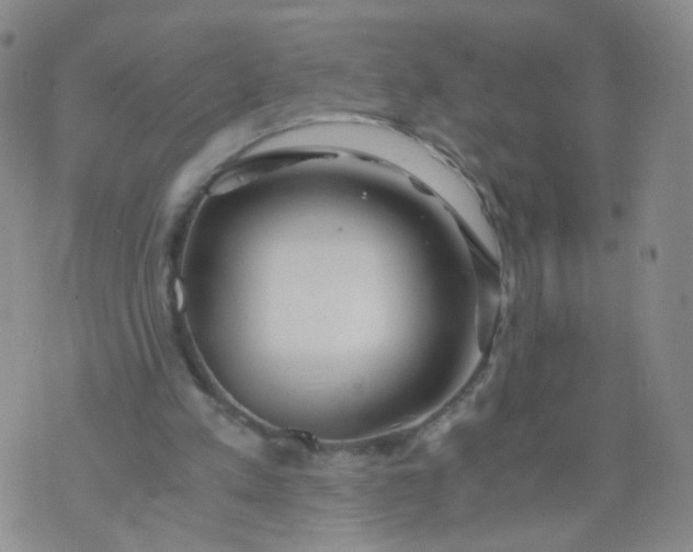 X0000073920197200609011818