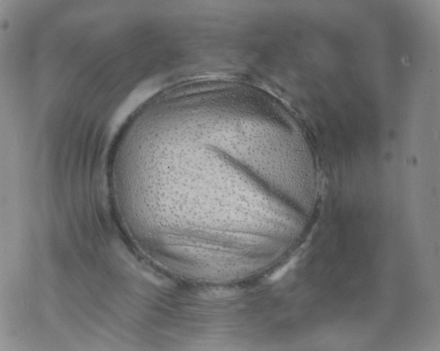 X0000073920198200609011818