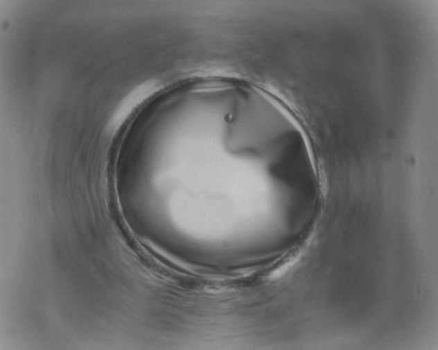 X0000073920199200609011818