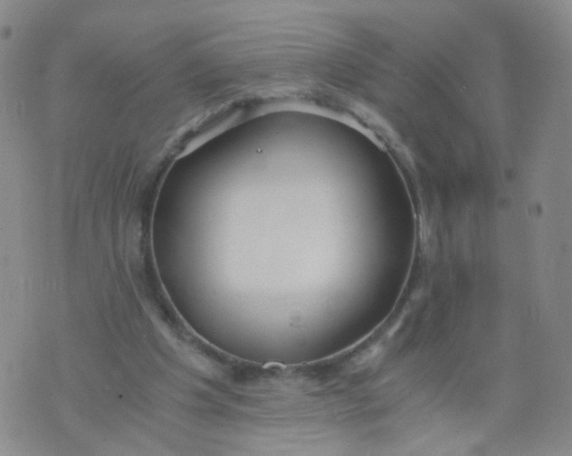 X0000073920201200609011818