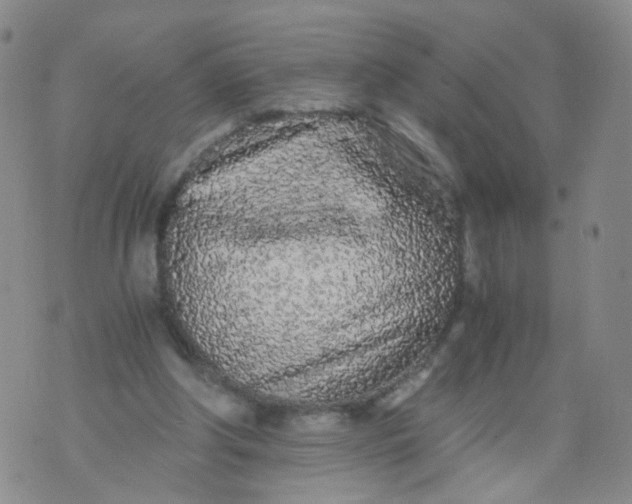 X0000073920202200609011818