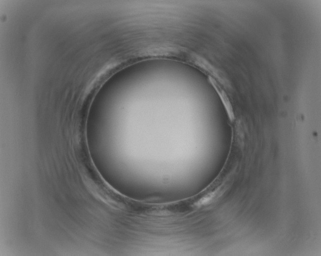 X0000073920203200609011817