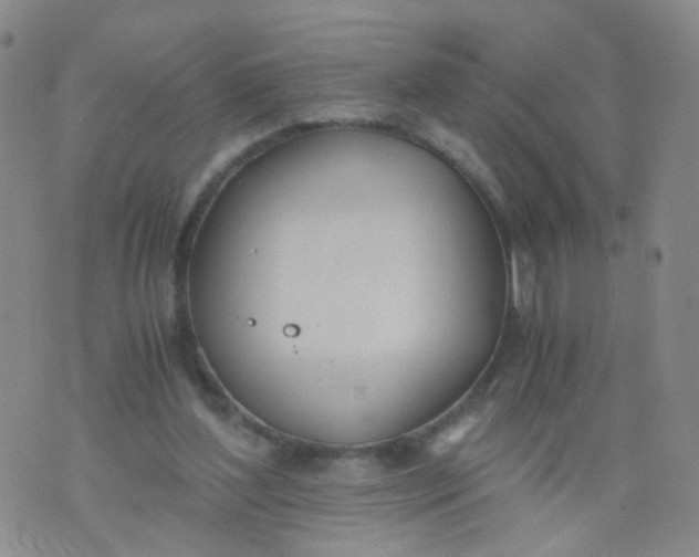 X0000073920204200609011817