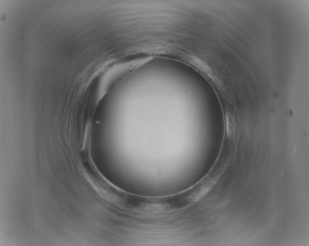 X0000073920205200609011817