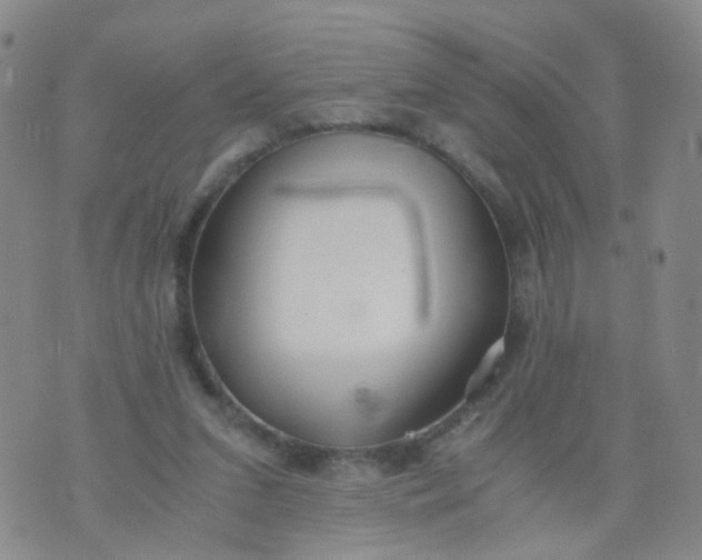 X0000073920207200609011817