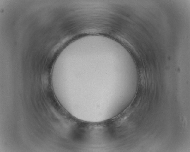 X0000073920208200609011817