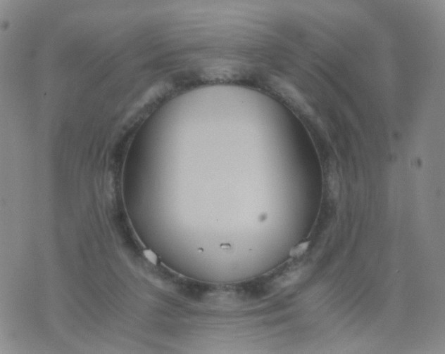 X0000073920211200609011817