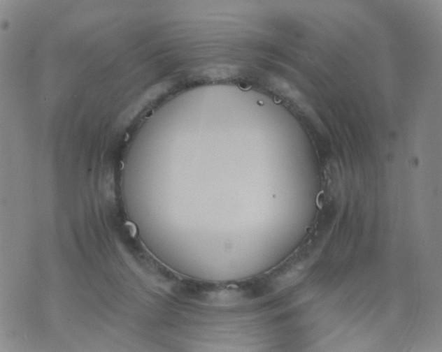 X0000073920212200609011817