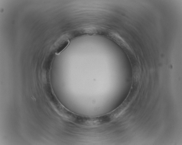 X0000073920213200609011817