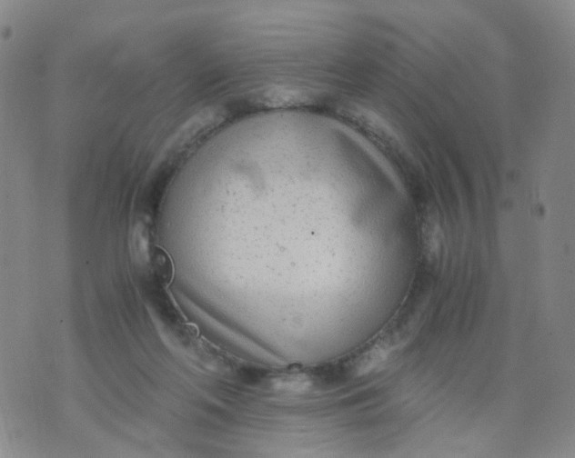 X0000073920214200609011817