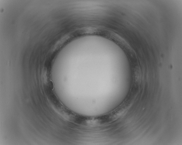 X0000073920216200609011817