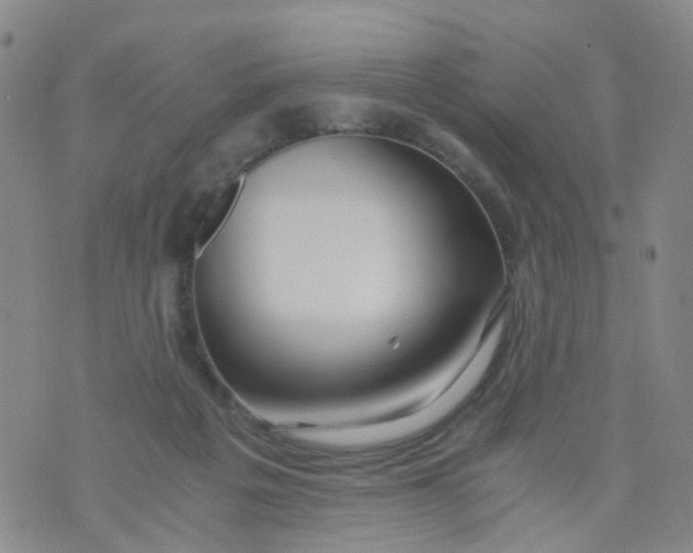 X0000073920217200609011817